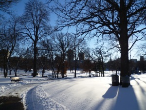 Das ist typischer Winter in Minnesota: knackig kalt, aber dafür mit Sonne und klarer Luft.